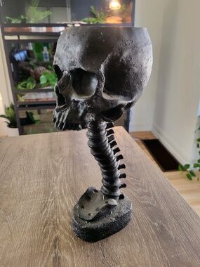 Standing Black Skull Planter